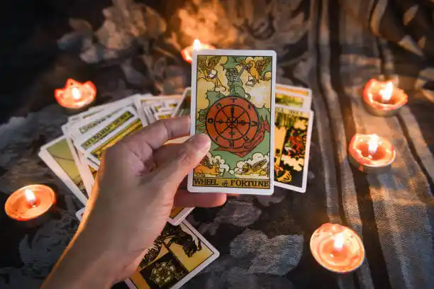 tarot cards Kindred